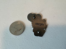 Load image into Gallery viewer, *Loon Kitty Hard Enamel Pin