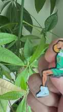 Load and play video in Gallery viewer, Sonics Shawn Kemp Hard Enamel Pin
