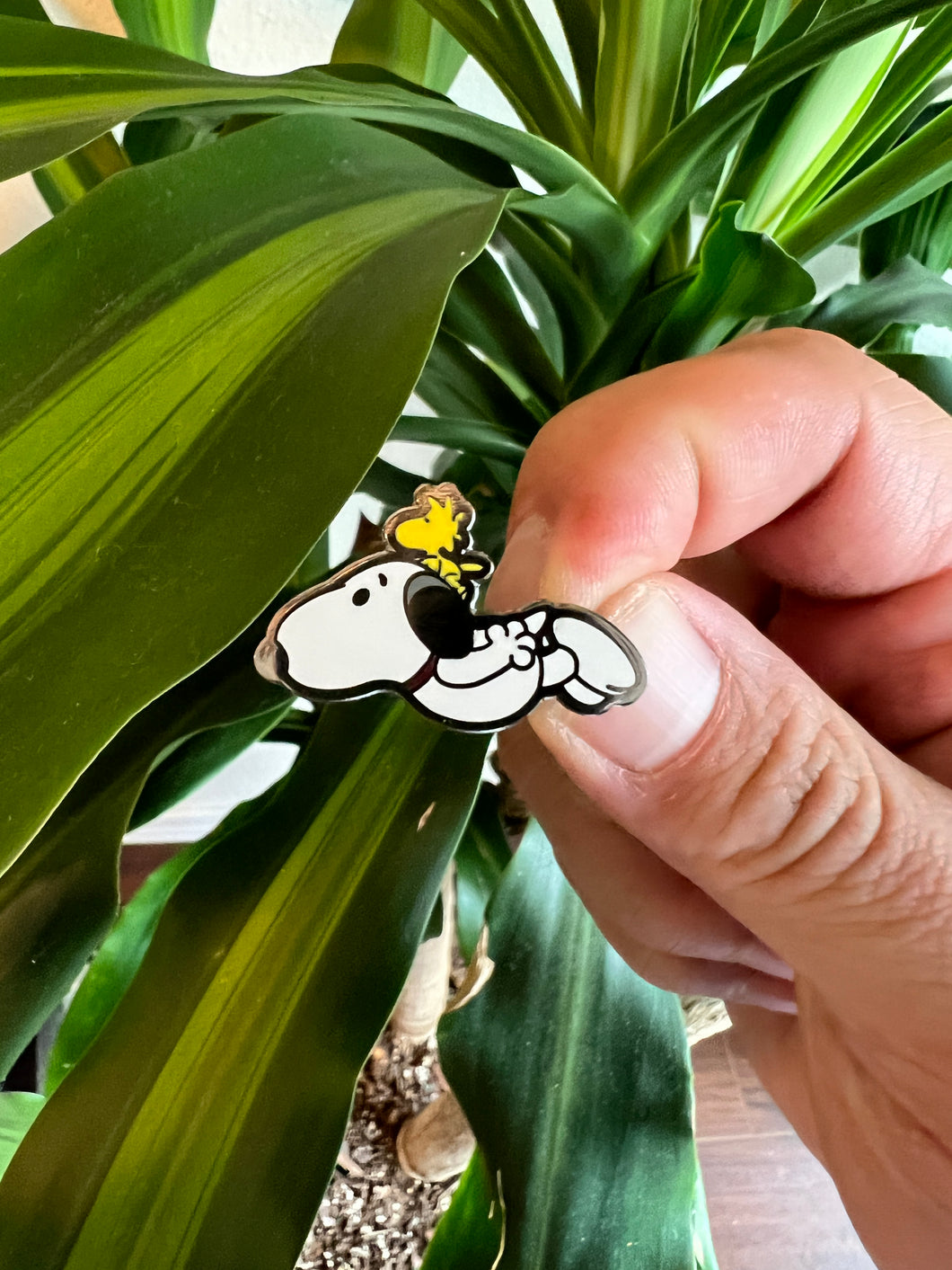 Snoopy & Woodstock Hard Enamel Pin